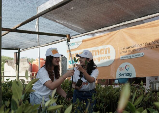 Konservasi Mangrove BNI di Banyuwangi, Selamatkan Ekosistem dan Hidupkan UMKM